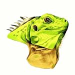 Profile Picture of Hunter John Zorn (@repitianreptiles) on Instagram