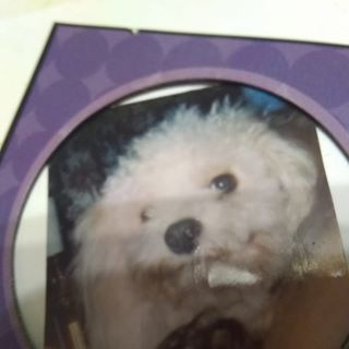 Profile Picture of Eloise Mike (@eloise.mike.9) on Facebook