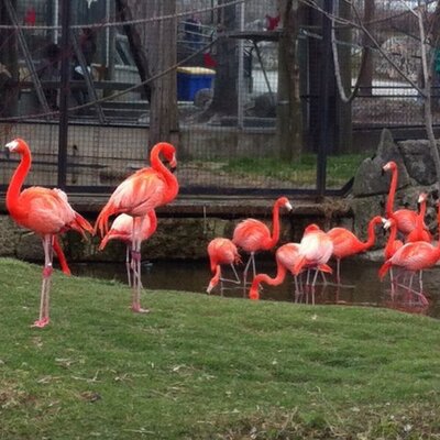 Profile Picture of Charlene Carson (@carson_charlene) on Twitter