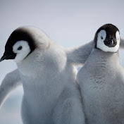 Gunnar Smith - Youtube Profile Picture of Gunnar Smith (@gunnarsmith2247) on Youtube