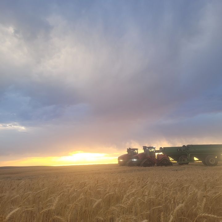 Profile Picture of caleb14barron_roughy (@calebcbarron) on Tiktok
