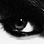 Profile Picture of M I L ù (@m i l ù) on Flickr