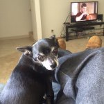 Profile Picture of Christopher Rosenthal (@crosenthal2) on Instagram