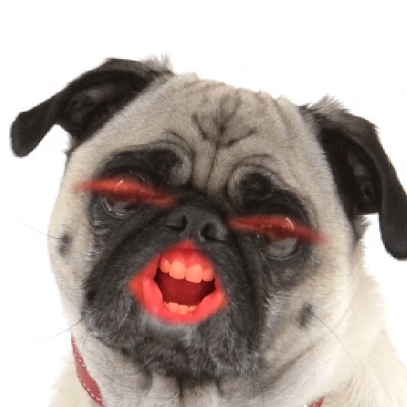 Profile Picture of Nicole Dertouzos (@nikkiburns11) on Poshmark