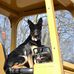 Profile Picture of David Heller (@david.heller.731572) on Facebook