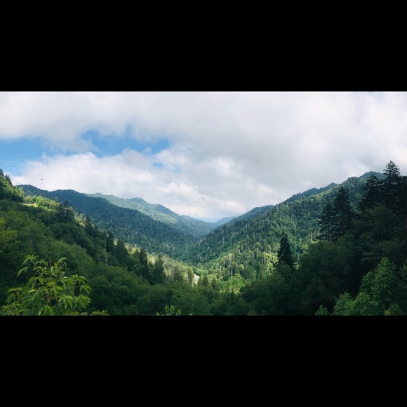 Profile Picture of Rhesa Hensley (@msreesie386) on Poshmark