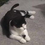 Profile Picture of Leroy (@jamesw_cinader) on Instagram