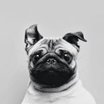 Miranda McCue - Instagram Profile Picture of Miranda McCue (@miir.xnda0.2) on Instagram