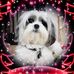 Profile Picture of Chris McCright (@chris.mccright.1) on Facebook