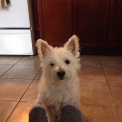 Profile Picture of Daniel Perron (@Build4u21964) on Twitter