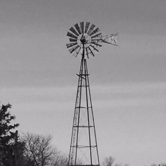 Profile Picture of Lisa Kneeskern (@lisabee4) on Poshmark