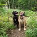 Profile Picture of Conny Weber (@conny.weber.1232) on Facebook