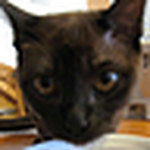 Profile Picture of Carl Herbst (@cjhtxgeek) on Flickr