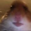 Profile Picture of Jacobmarty (@@jacobmutry197fortint) on Tiktok