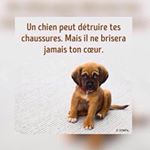 Profile Picture of Jasmine Chery (@jasminechery05) on Instagram