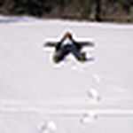 Profile Picture of Verduci (@verduci) on Flickr