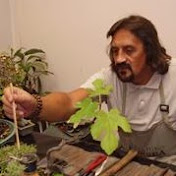 Profile Picture of JULIO CESAR Ferro (@julioferrobons) on Youtube