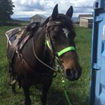 Profile Picture of Byron (@wiensbyron.01) on Instagram