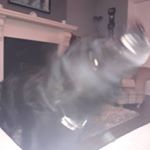 Profile Picture of mooneyhdhdbdb (@benjamin_mooney_06) on Instagram