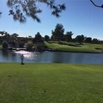 Profile Picture of Aaron Wing (@aaron_e_wing) on Instagram