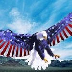 Profile Picture of Andy Huynh (@anndyyyyyyy) on Instagram