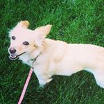 Profile Picture of Olive Roberts (@oliveandthemartinis) on Instagram