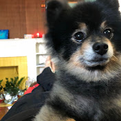 Profile Picture of Tim Li (@lllcool2002) on Youtube