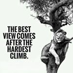 Profile Picture of Shahzad Ul Haq Siddiqui (@siddiqu1.shahzad) on Instagram