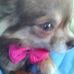 Profile Picture of Mandy Petzold (@mandy.petzold.3) on Facebook