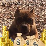 Profile Picture of Bradley Phillips (@bradley.phillips.353803) on Instagram