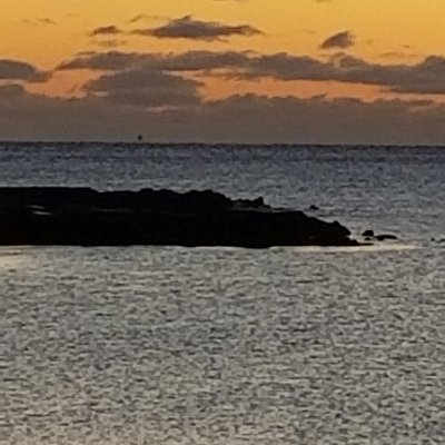 Profile Picture of Chris Jans (@ChrisJans6) on Twitter