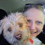 Profile Picture of stacie meredith (@stacie_meredith) on Instagram