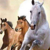 Profile Picture of Jason Goh (@jasongoh1567) on Youtube