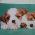 Profile Picture of Mary Jeanette Hellyer (@maryjeanettehellyer) on Instagram