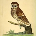 Profile Picture of Jon Garrison (@jonspix) on Instagram