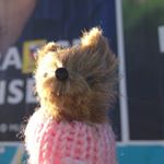 Profile Picture of Paul-Henri (@paulhenri_duchene) on Instagram