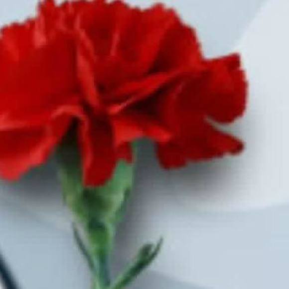 Ylonka Marotta - Poshmark Profile Picture of Ylonka Marotta (@ylonkagarcia) on Poshmark