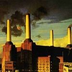 Profile Picture of Michał Badowski (@mibadow) on Instagram