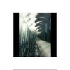 Profile Picture of ariel carter (@@arielcarter2) on Tiktok