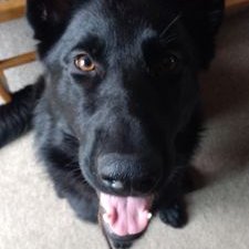 Profile Picture of Ian Howes (@IanHowes10) on Twitter