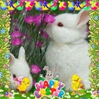 Cathy Scully-fonash - Quora Profile Picture of Cathy Scully-fonash (@cathy-scully-fonash) on Quora