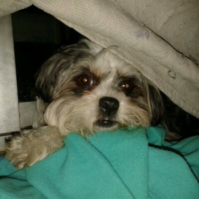 Profile Picture of Male HR (@marlene_haro) on Twitter