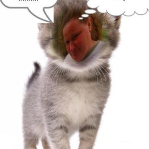 Profile Picture of Paul Vansant (@396708085) on Myspace