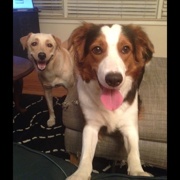 Profile Picture of Lily Hale (@halel3) on Poshmark