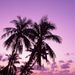 Profile Picture of Antoine Hollinhead (@antoinehollinhead) on Pinterest