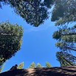 Profile Picture of Cabin on the Roost vacation rental (@cabinontheroost) on Instagram