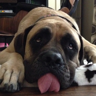 Chris Monroe - Twitter Profile Picture of Chris Monroe (@chris_a_monroe) on Twitter