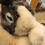 Profile Picture of Pearl Chou (@choupea) on Instagram