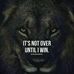 Profile Picture of Michael Buddy (@Michael-Buddy) on Facebook