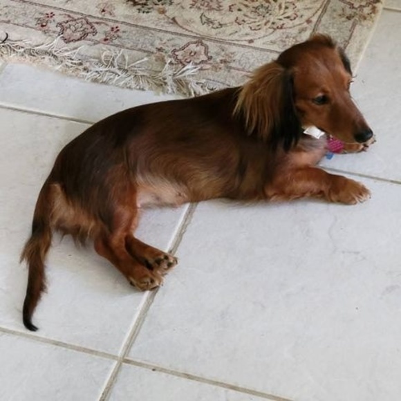 Profile Picture of Loretta Sova (@lorettasova60) on Poshmark